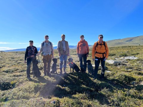 SVK Södras medlemmars framgångar under SVK JV Fjäll & Skogs prov