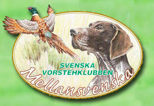 SVK mellansvenska 50 år
